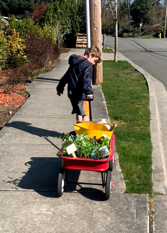 Wagon